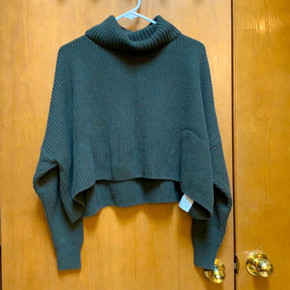 Hollister Turtleneck sweater